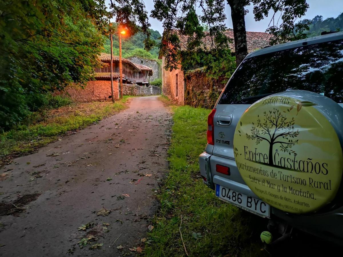 Onís Casas Rurales Entrecastanos מראה חיצוני תמונה