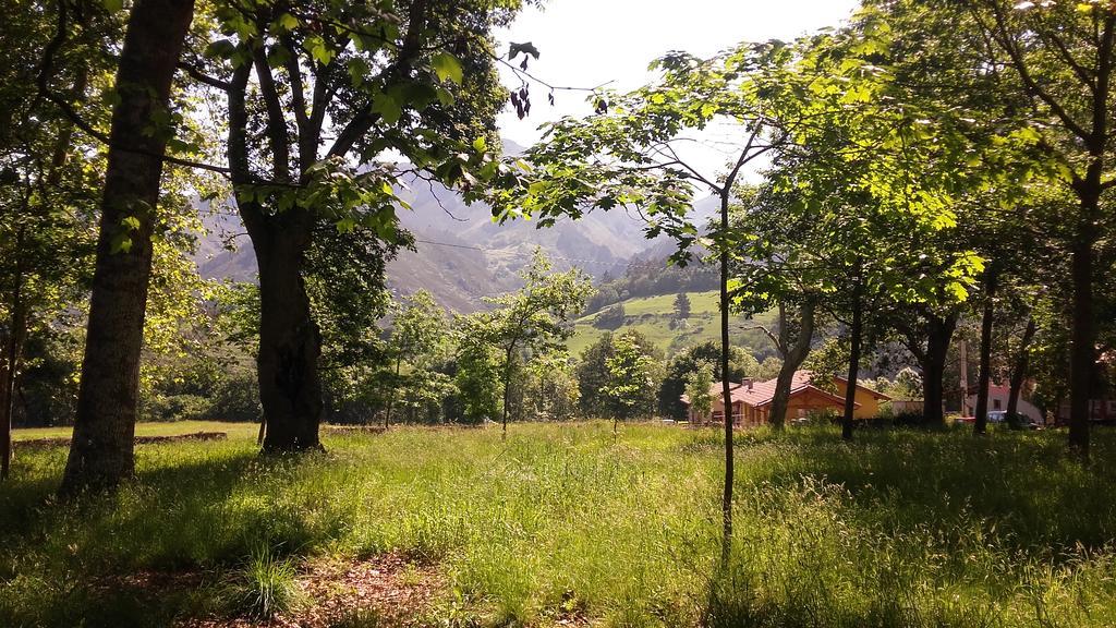Onís Casas Rurales Entrecastanos מראה חיצוני תמונה