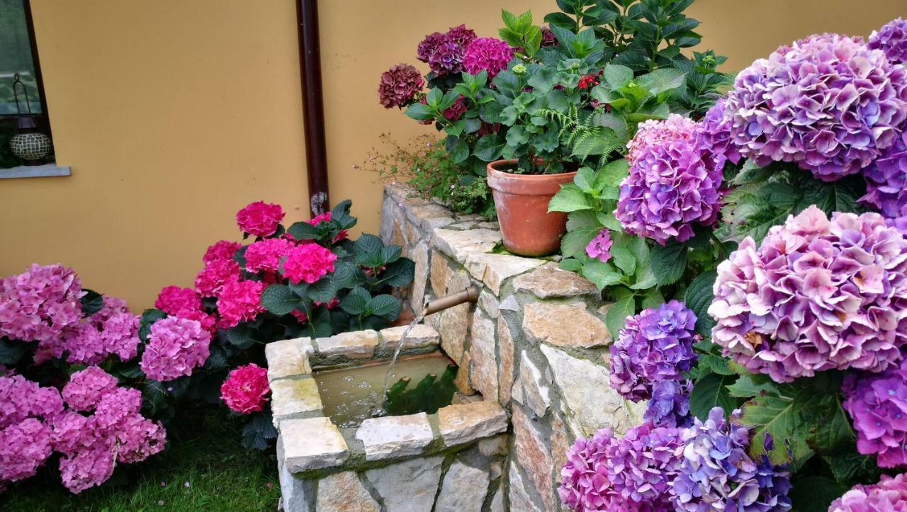 Onís Casas Rurales Entrecastanos מראה חיצוני תמונה